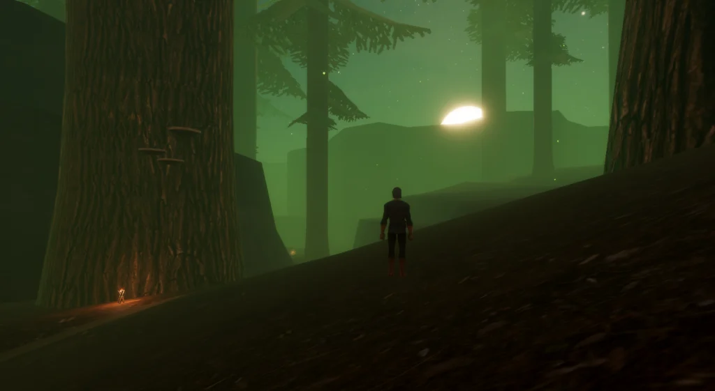 A wood elf looks into the forest as the sun sets infront of him on the horizon.